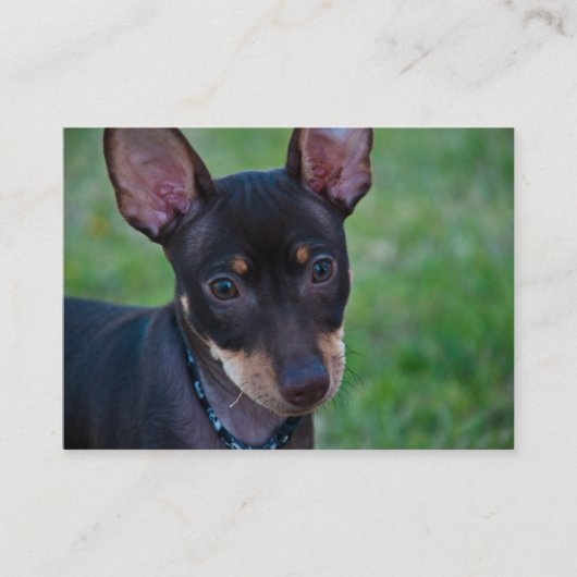 Min. visitekaartjes (Voorkant)