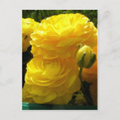 Min Yellow Briefkaart (Voorkant)