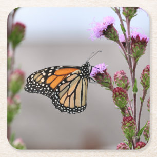 Minarch Trivet Kartonnen Onderzetters