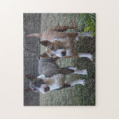 Minature Bull Terriers Legpuzzel (Verticaal)