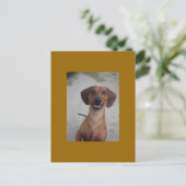 Minature Dachshund Briefkaart (Staand voorkant)