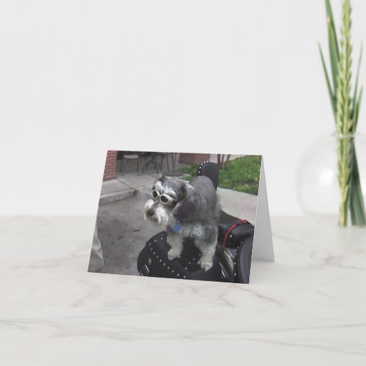 Minature Schnauzer BIKER Kaart (Voorkant)