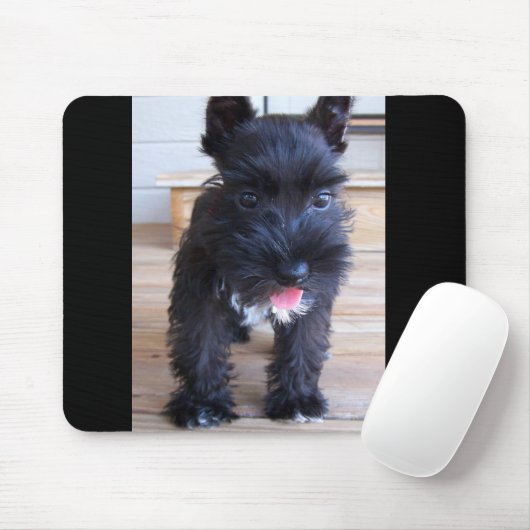Minature Schnauzer Muismat (Met muis)