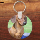 Minature Smooth Dachshund Sleutelhanger (Voorkant)