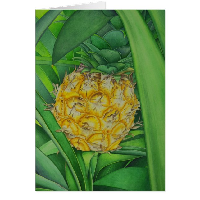 Minatuur ananas (Voorkant)