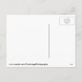 Mince Pies met Kerstmis Feestdagenkaart (Achterkant)