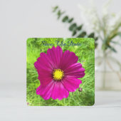 Mind-editie: Cosmos Save The Date (Staand voorkant)