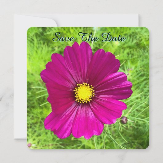 Mind-editie: Cosmos Save The Date (Voorkant)