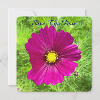 Mind-editie: Cosmos Save The Date