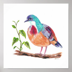 Mindanao Bleeding Heart Endemic Philippine Bird Poster