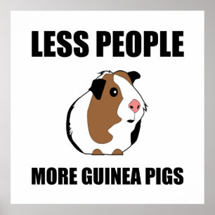 Minder mensen meer Guinee Varkens Poster