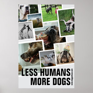 Minder Mensen, Meer Honden Poster
