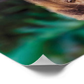 Mindset is alles, de reflectie van de ronddraaiend poster (Hoek)