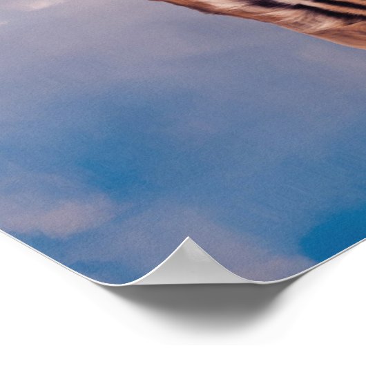 Mindset is alles - grotere waterreflectie poster (Hoek)