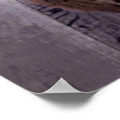 Mindset is alles - katten- en tijgerreflectie poster (Hoek)