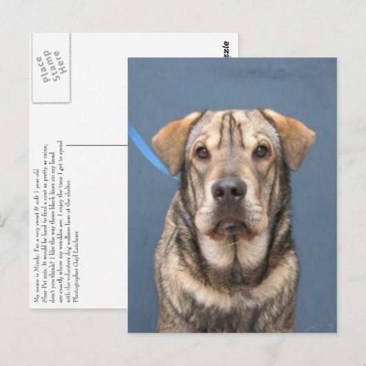 Mindy Briefkaart (Voorkant / Achterkant)