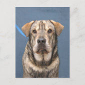 Mindy Briefkaart (Voorkant)