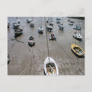 Minehead-haven, Somerset, Verenigd Koninkrijk Briefkaart