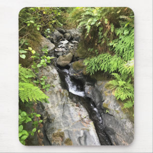 Miner Creek, Samuel H. Boardman, OF Muismat
