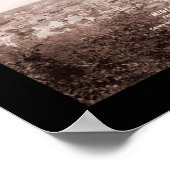 Mineral Wells TX Scene Photo 1906 Poster (Hoek)