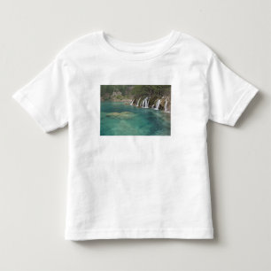 Minerale afzettingen maken watervallen en helder kinder shirts