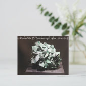 Mineralen en Pareltjes # 117 Briefkaart (Staand voorkant)