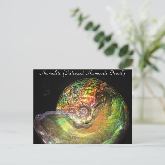 Mineralen en Pareltjes # 127 Briefkaart (Staand voorkant)