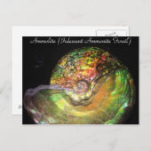 Mineralen en Pareltjes # 127 Briefkaart (Voorkant / Achterkant)