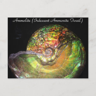 Mineralen en Pareltjes # 127 Briefkaart