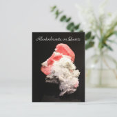 Mineralen en Pareltjes # 45 Briefkaart (Staand voorkant)