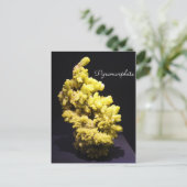 Mineralen en Pareltjes # 7 Briefkaart (Staand voorkant)