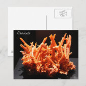 Mineralen & Pareltjes # 164 Briefkaart (Voorkant / Achterkant)