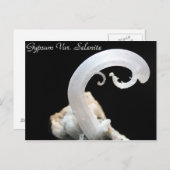 Mineralen & Pareltjes # 3 Briefkaart (Voorkant / Achterkant)