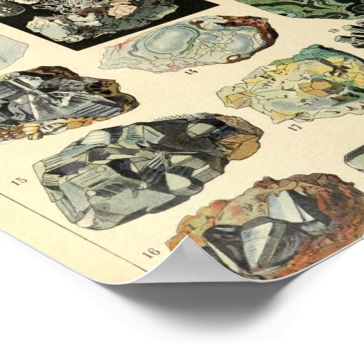  mineralen Rocks Geology Poster (Hoek)