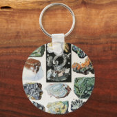  mineralen Rocks Geology Sleutelhanger (Voorkant)