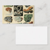  mineralen Rocks Geology Visitekaartje (Voorkant / Achterkant)