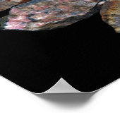 Minerals Rock Collectors Funny Poster (Hoek)