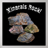 Minerals Rock Collectors Funny Poster (Voorkant)