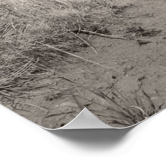 Minerschuur - Comet Ghost Mine - Montana Poster (Hoek)