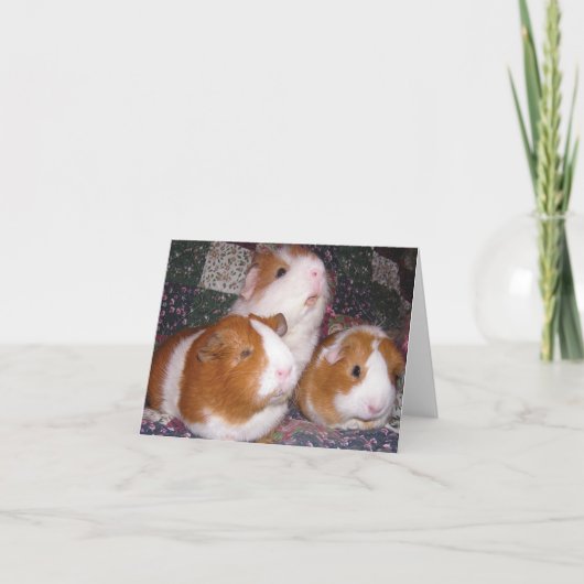 Minerva en Vrienden Notecard Kaart (Voorkant)