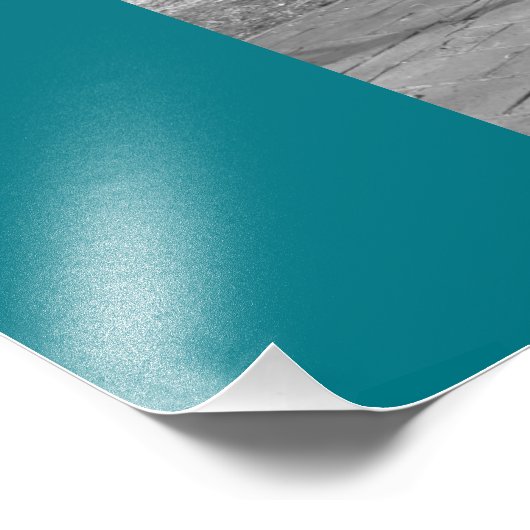 Ming Tombs Dragon B&W Foto Afdruk (Hoek)