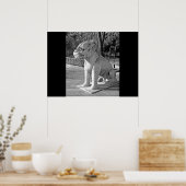 Ming Tombs Dragon B&W Poster (Keuken)