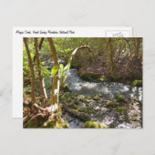 Mingus Creek at Smoky Mountains Briefkaart (Voorkant / Achterkant)