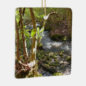 Mingus Creek at Smoky Mountains Keramisch Ornament (Rechts)