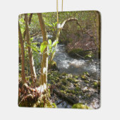 Mingus Creek at Smoky Mountains Keramisch Ornament (Links)