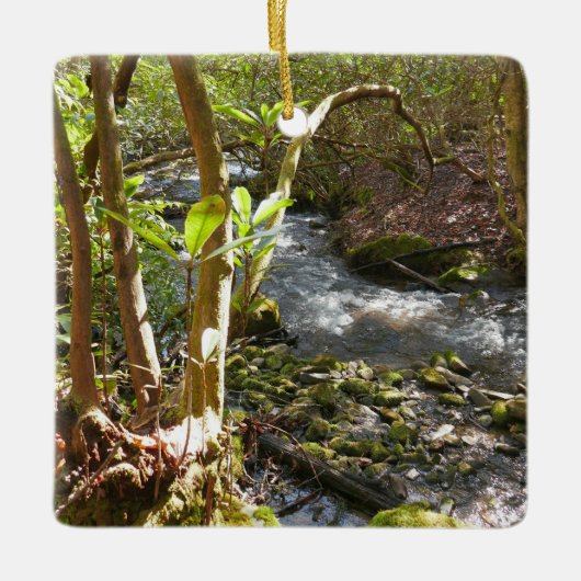 Mingus Creek at Smoky Mountains Keramisch Ornament (Voorkant)