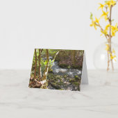 Mingus Creek in de Smoky Mountains Kaart (Gele Bloem)