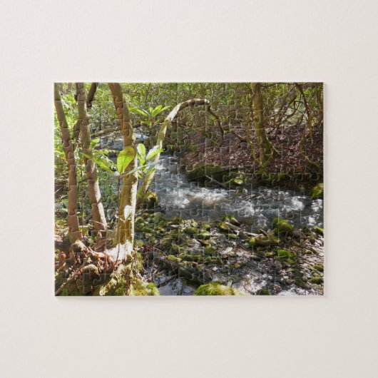 Mingus Creek in de Smoky Mountains Legpuzzel (Horizontaal)