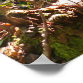 Mingus Creek in de Smoky Mountains Poster (Hoek)
