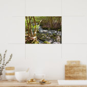 Mingus Creek in de Smoky Mountains Poster (Keuken)